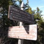 Arrived at the junction of Carter Ledge trail and Middle Sister trail.